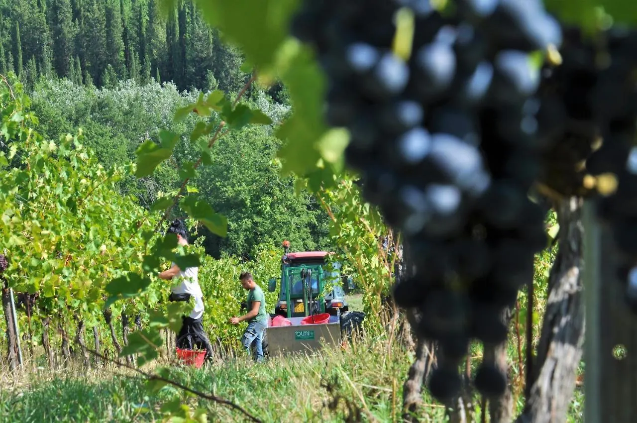 Tenuta Di Sticciano Certaldo Vakantieboerderij