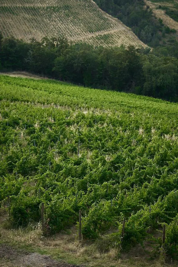 Tenuta Di Sticciano Certaldo